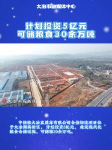 计划投资5亿元 可储粮食30余万吨——中储粮大冶直属库有限公司仓储物流项目