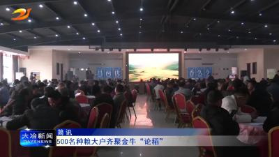 500名种粮大户齐聚金牛“论稻”