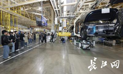 “武汉处处迸发着科技创新的活力”，全国大学生社会实践团探秘我国高端新能源汽车生产线