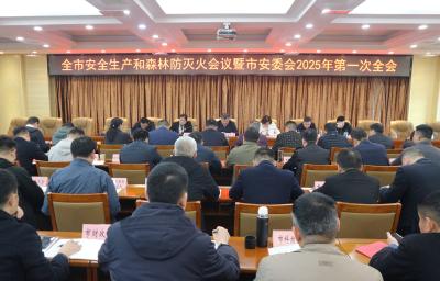 全市安全生产和森林防灭火会议暨市安委会2025年第一次全会召开 坚持综合施策 全力筑牢各项安全防线