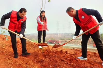 孙辄、潘小进等市“四大家”领导参加义务植树
