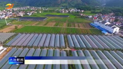 简讯：我市一项目入选全国“万企兴万村”行动优秀案例