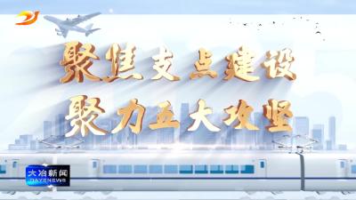 方至畈村：“蔬”写绿色致富路