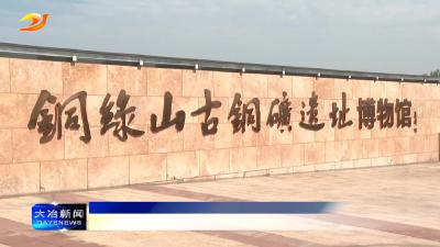拉美西语国家知名媒体人研修班来我市调研