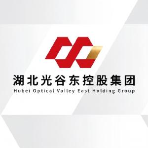 湖北光谷东国有资本投资运营集团有限公司领导简介