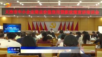 全市中小企业商业价值信用贷款政策宣讲培训会召开