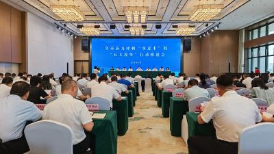 “项”上拔节 奋力冲刺“双过半”——全市奋力冲刺“双过半”暨“五大攻坚”行动推进会侧记