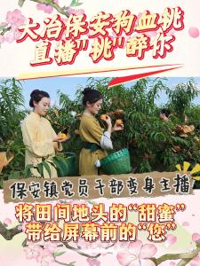 大冶保安狗血桃，直播“桃”醉你