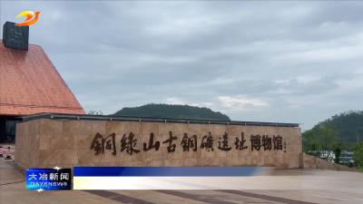 中国地质大学（武汉）国际教育学院来我市开展研学活动