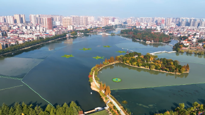 【弘扬三大精神 奋力建成支点】聚力民生实事 提升城市品质
