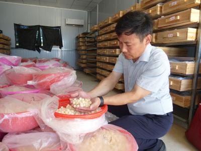新农人李名富：甲鱼养殖富一方 乡村振兴勇担当