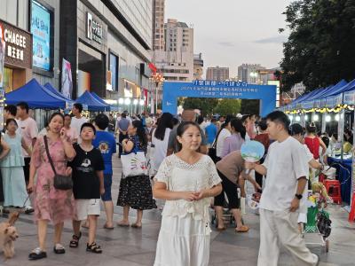 白天学技巧 晚上来应聘 市人社局双管齐下为求职者搭建高效就业桥梁