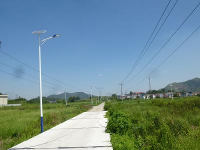 大冶：2000盏太阳能路灯照亮村民归家路 