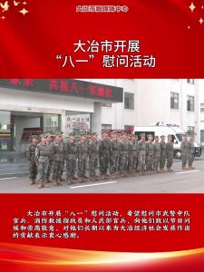 大冶市开展“八一”慰问活动