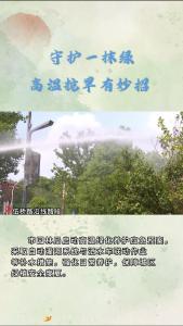 守护一抹绿，高温抗旱有妙招