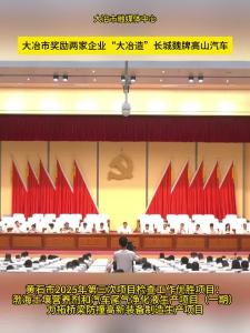 发车啦！！大冶市奖励两家企业“大冶造”长城魏牌高山汽车