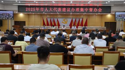 我市召开2025年人大代表建议办理集中督办暨办理工作培训会 强化督办落实  提升办理实效