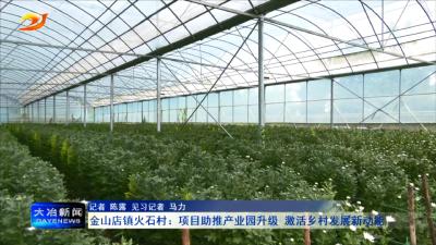 金山店镇火石村：项目助推产业园升级 激活乡村发展新动能