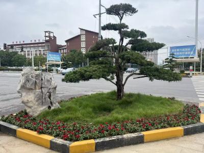 高新区：喜迎国庆中秋 2.5万盆鲜花整“妆”待发