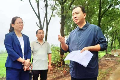 孙辄调研重点项目、督导检查高标准农田整治和节前景区安全生产工作 加强技改升级坚持绿色发展 建管并重抓好高标准农田建设