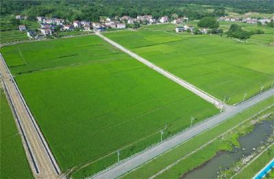 灵乡镇：全域整治绘就农文旅融合“山水画”