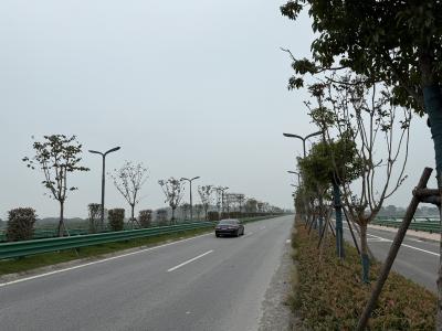 铺好融入武汉都市圈“金丝带” 武汉新城至黄石新港快速通道（大冶段）冲刺11月底通车