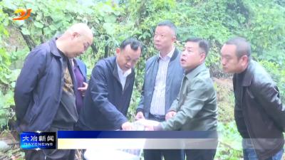 市领导调研东风路街道部分闲置地块综合利用工作