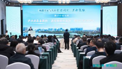 描绘“氢”城蓝图 共拓产业蓝海 2025黄石（大冶）氢能高质量发展推介会举行