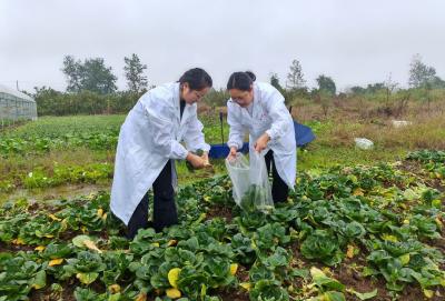农产品专项检测守牢“舌尖安全”
