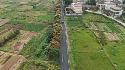 【聚焦支点建设·聚力五大攻坚 品质提升】殷祖镇殷南公路升级完工