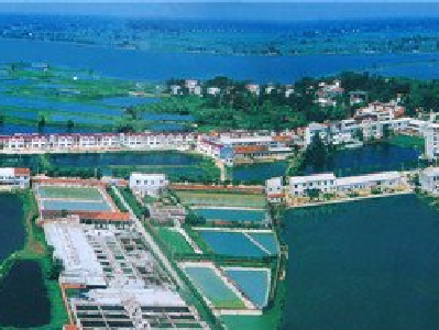 大冶市东风农场管理区领导简介