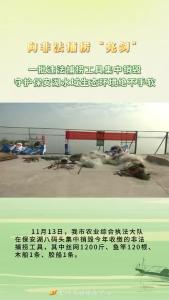 向非法捕捞“亮剑”——一批违法捕捞工具集中销毁，守护保安湖水域生态环境绝不手软
