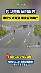 遵守交通规则 确保安全出行——典型事故案例曝光