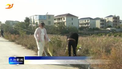 简讯：大箕铺镇开展水环境管理志愿服务活动
