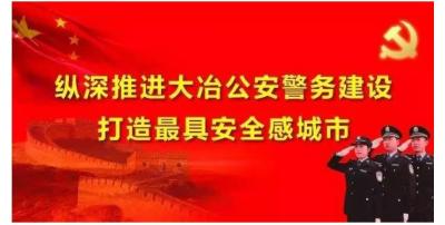 大冶市公安局领导简介
