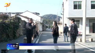 市领导赴灵乡镇谈桥村开展人大代表小组活动