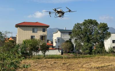 殷祖镇科技赋能油菜种植