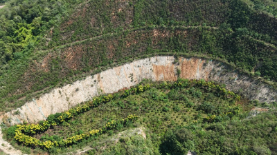 点“绿”成“金”——矿冶之城的绿色转型路 央视《三农群英汇》聚焦大冶