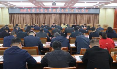 2025年市安委会第四次全体（扩大）会议召开 聚焦重点攻坚  全面提升安全防范处置能力