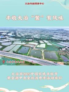 丰收大冶“鳖”有风味——大冶市2025中国农民丰收节·黄金湖甲鱼金秋消费季活动举行