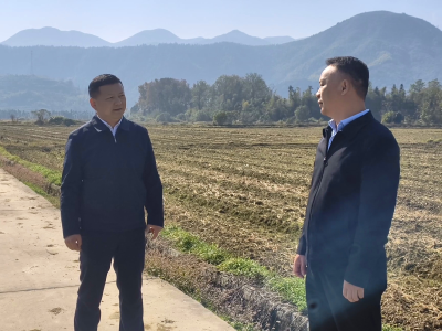 潘小进赴乡镇开展“五访五看”
