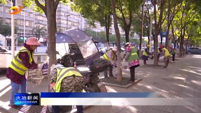 市园林局开展树木涂白工作