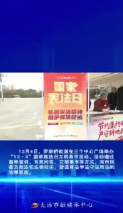 宪法护航 法治暖街——罗家桥街道举办“12·4”国家宪法日文明集市活动