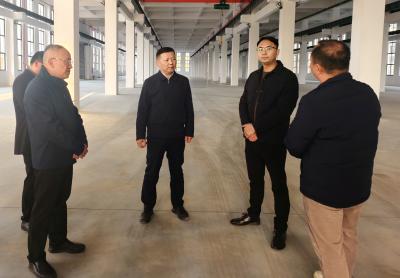 潘小进调研我市部分重点工业企业和项目 现场协调解难题 全力促建保投产