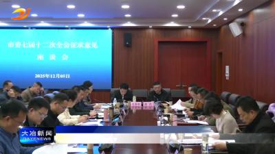 市委七届十二次全会征求意见座谈会召开