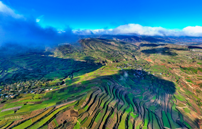 全国质量奖通过确认 劲牌品质再获“国家认证”