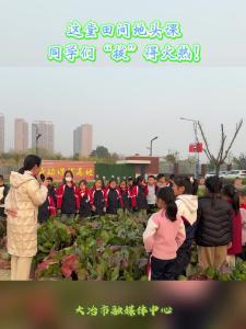 这堂田间地头课，同学们“拔”得火热！