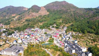 【“十四五”的大冶答卷】城乡融合绘就生态宜居新画卷