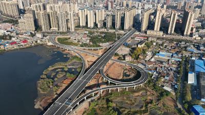 描绘新蓝图 奋进新征程——中共大冶市委七届十二次全体会议侧记