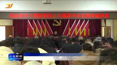 简讯：殷祖镇举行党的二十届四中全会精神宣讲会